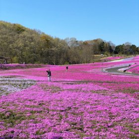 中央あたりにいるよ～♪