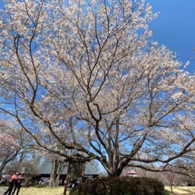 天平の丘公園